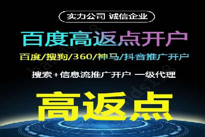 某某SEM服务公司成功案例：从数据出发的营销策略